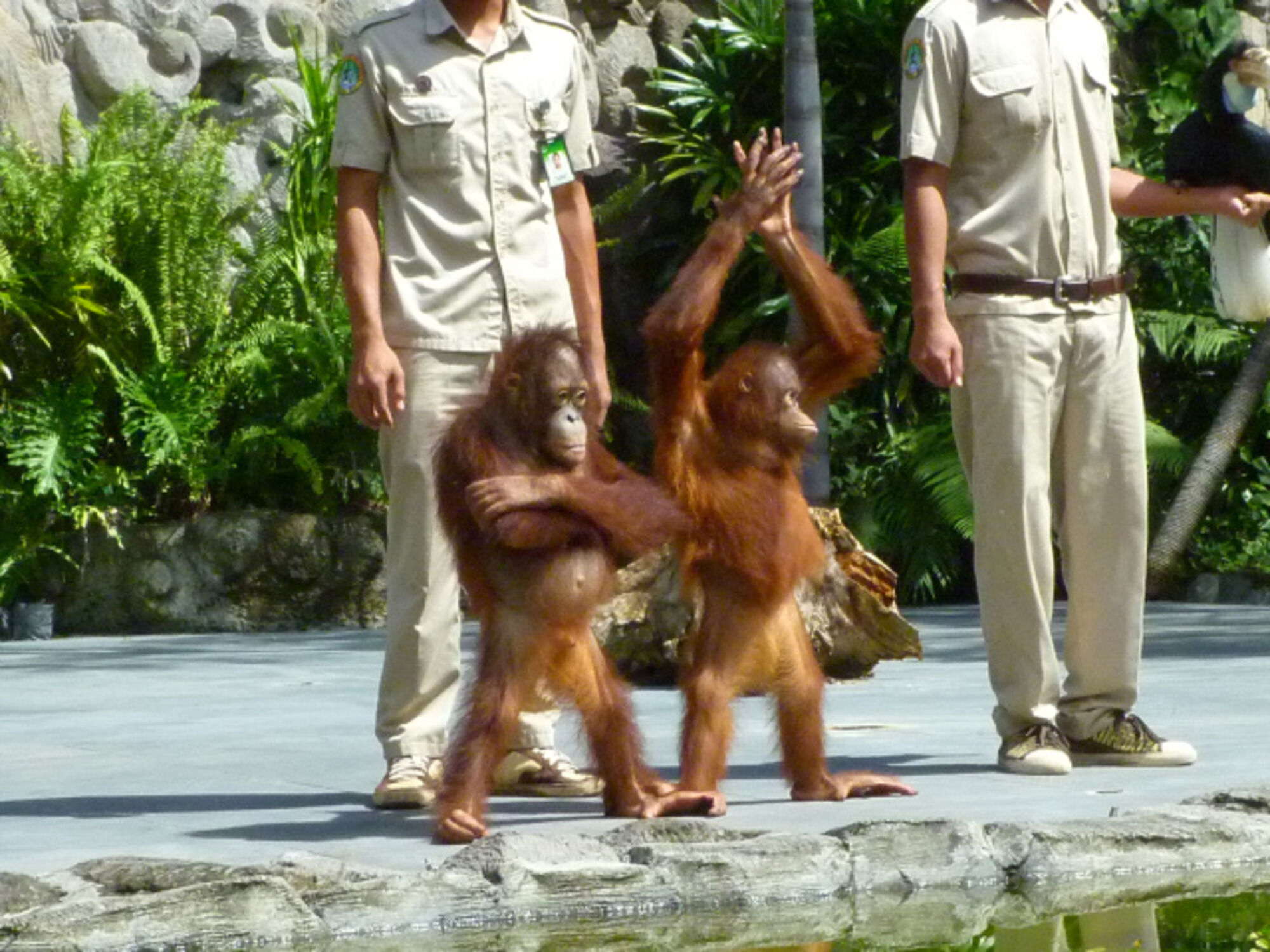 sche (2).jpg (417 KB)