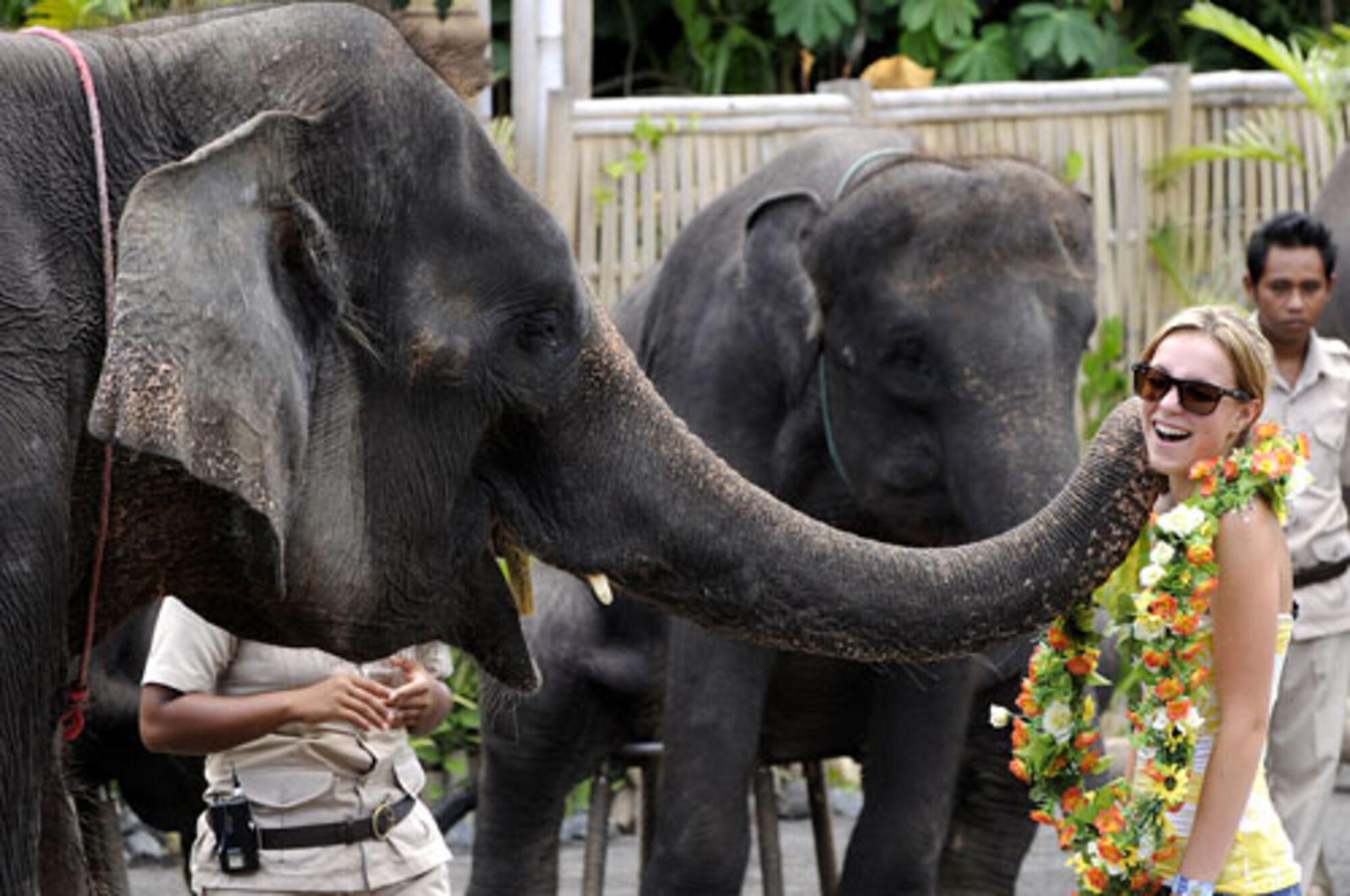 sche (3).jpg (295 KB)