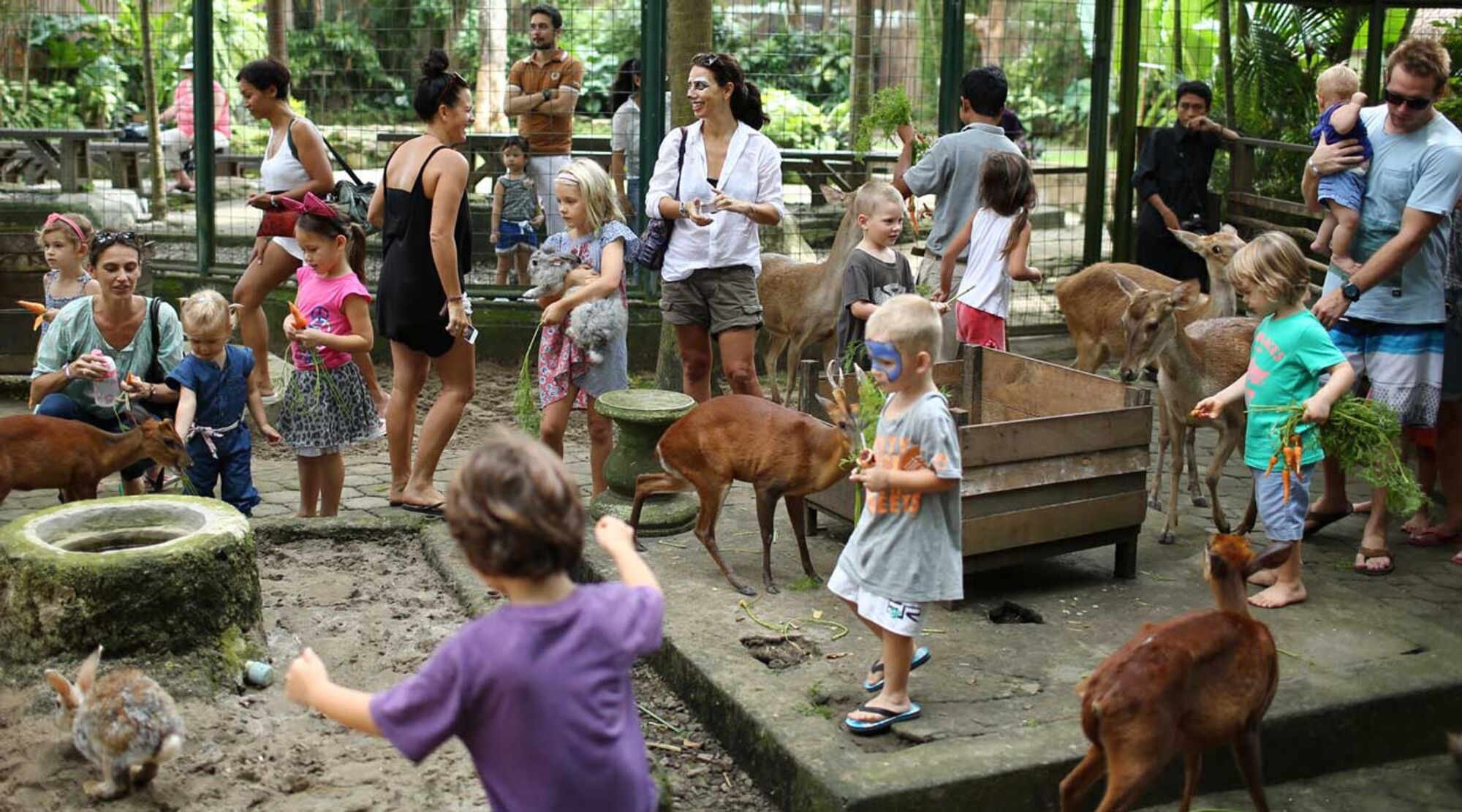 sche (2).jpg (372 KB)