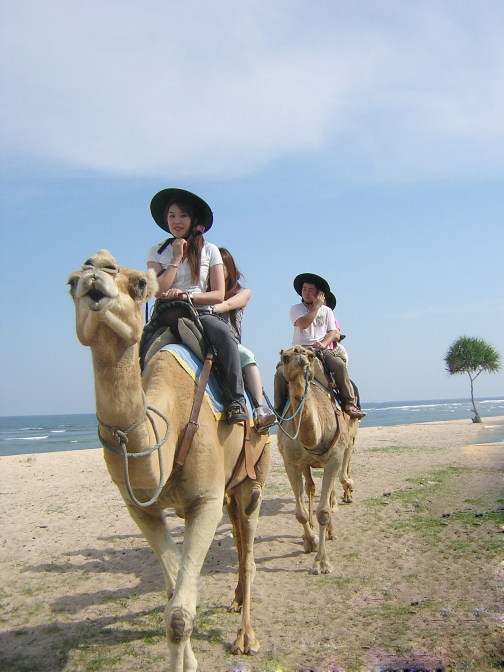 sche (1).jpg (542 KB)