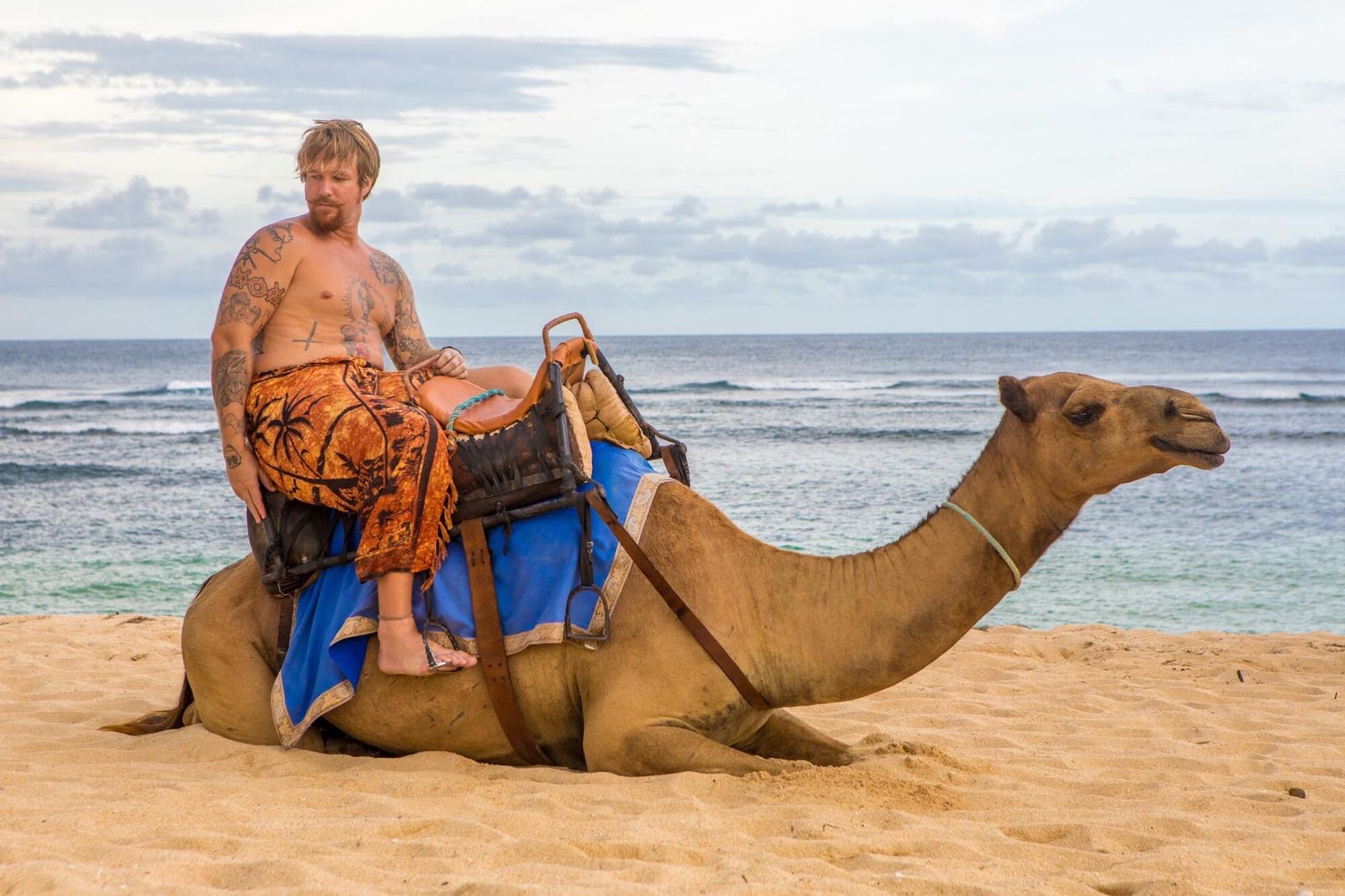 sche (2).JPG (298 KB)