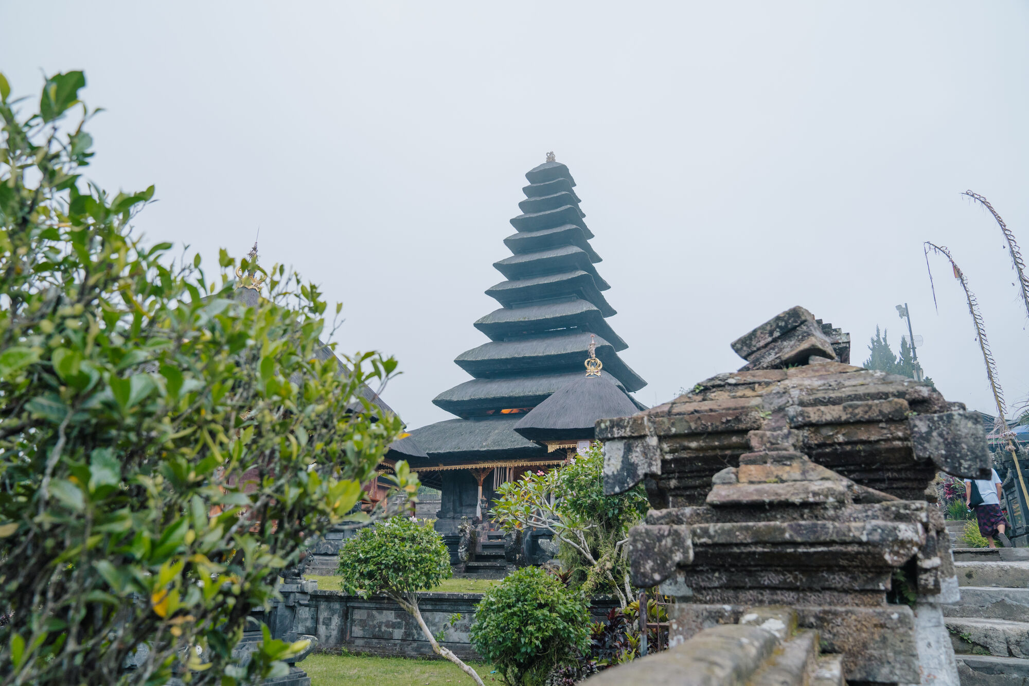 sche (3).jpg (409 KB)