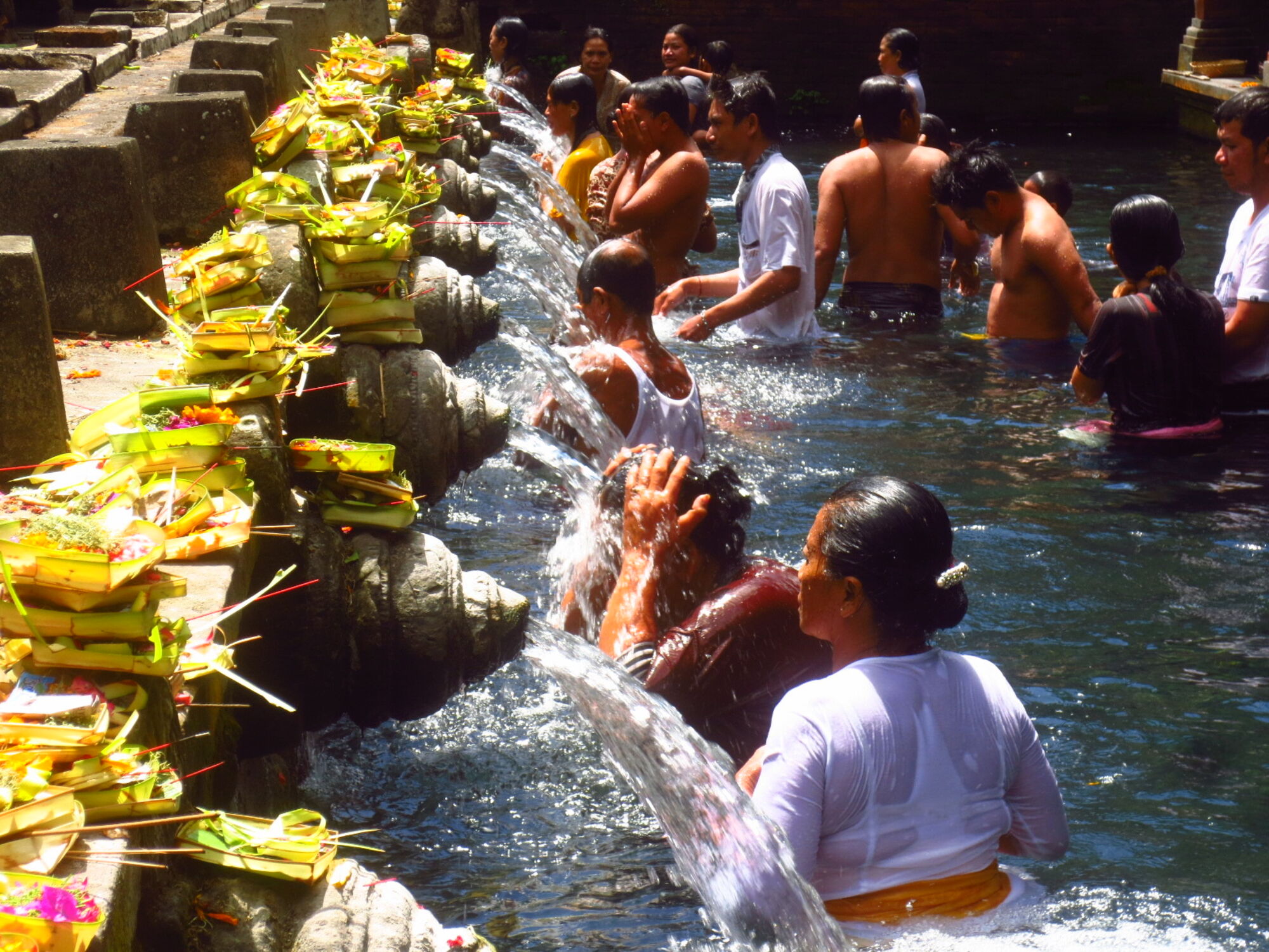 sche (1).JPG (543 KB)