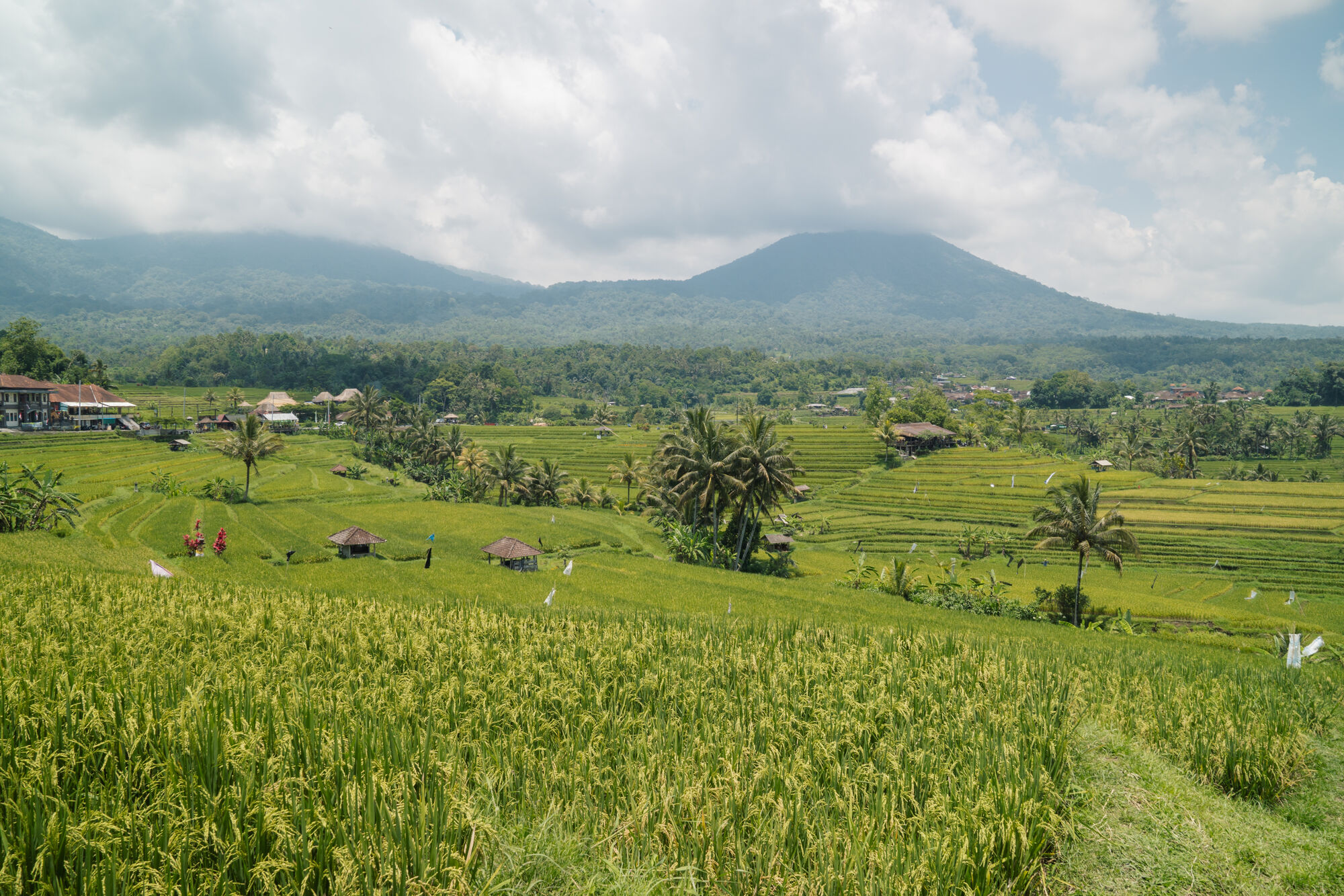 sche (2).jpg (707 KB)