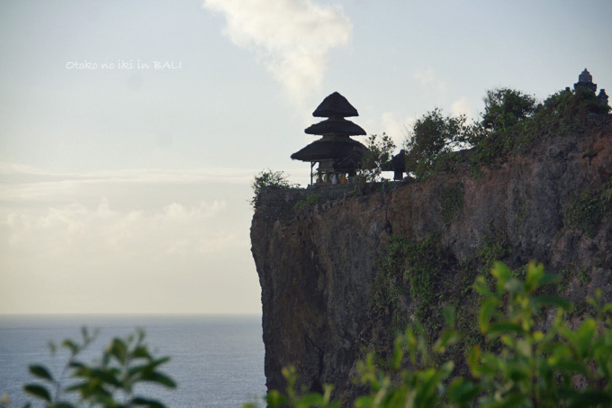 high (3).jpg (201 KB)