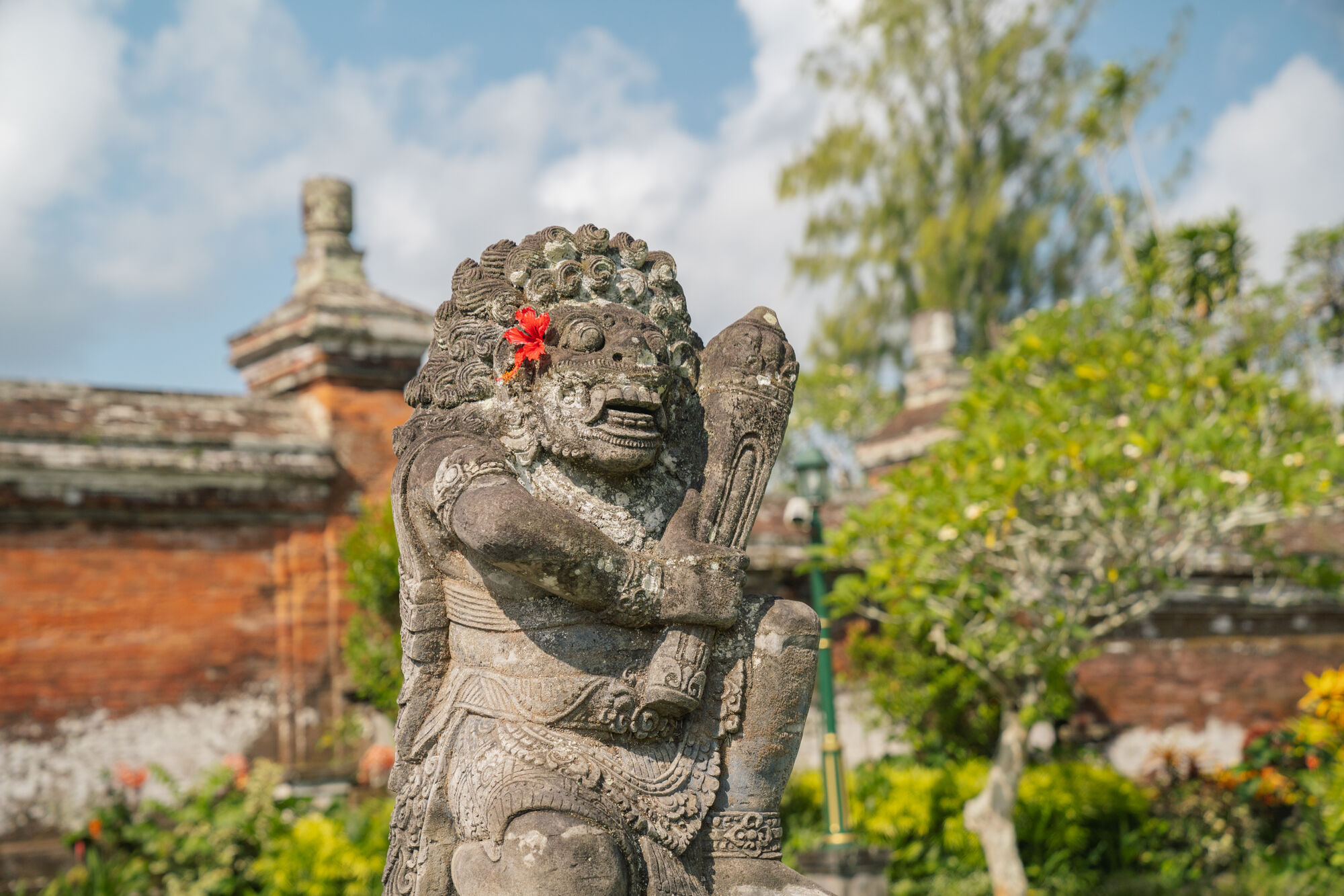 high (2).jpg (432 KB)