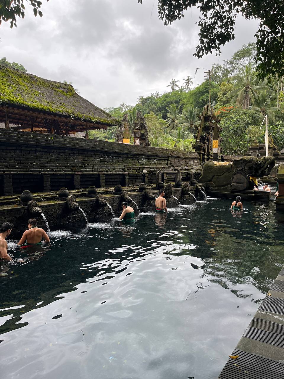 high (3).jpeg (225 KB)