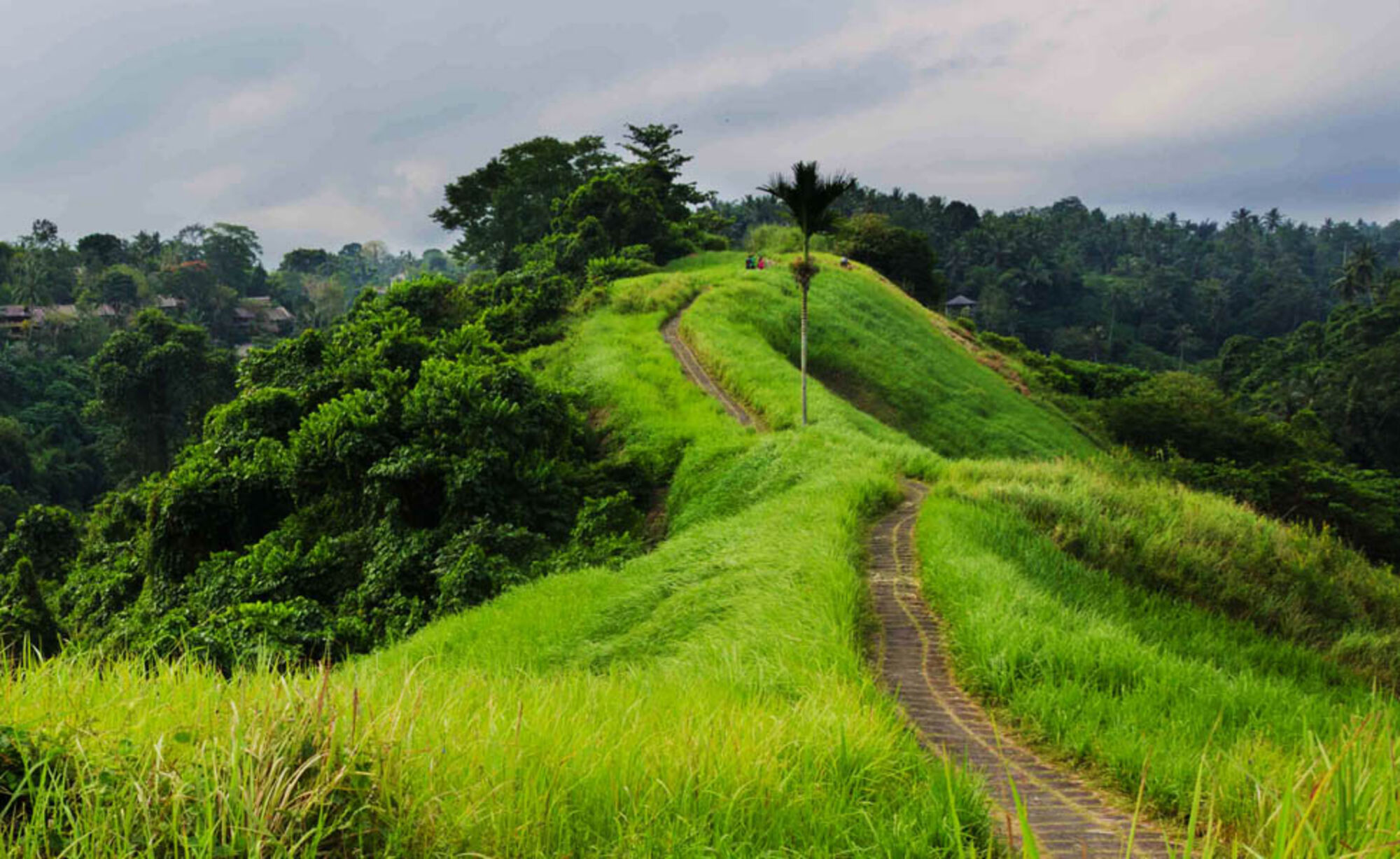 high (3).jpg (401 KB)