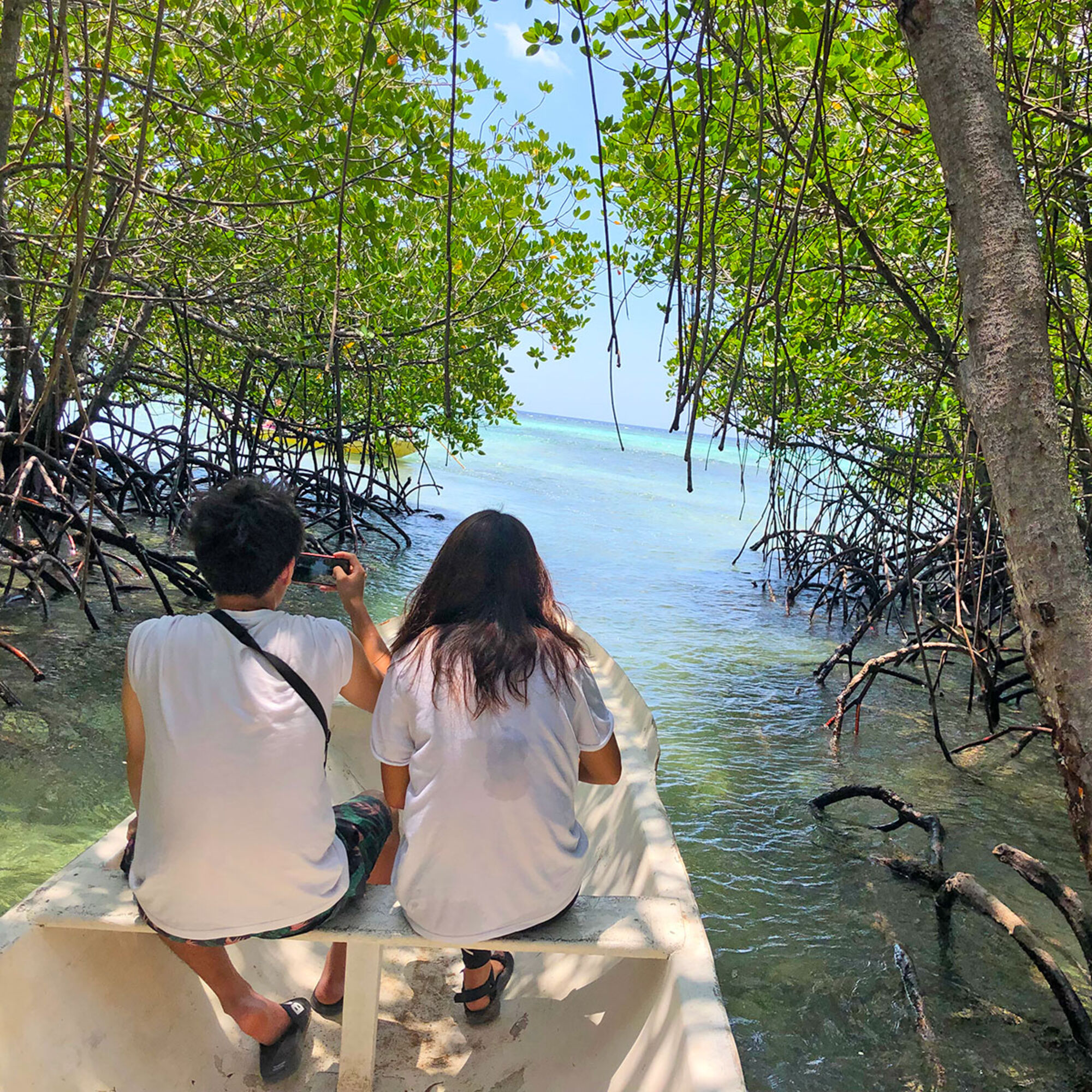 high (1).JPG (1.07 MB)