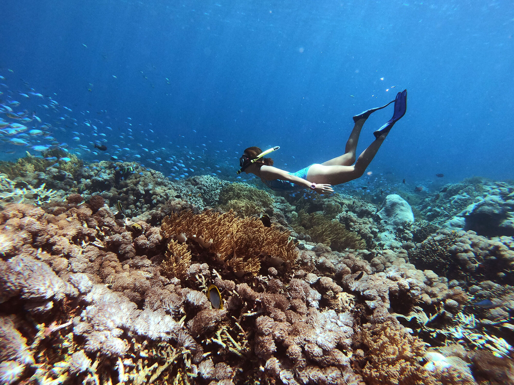 high (2).JPG (744 KB)