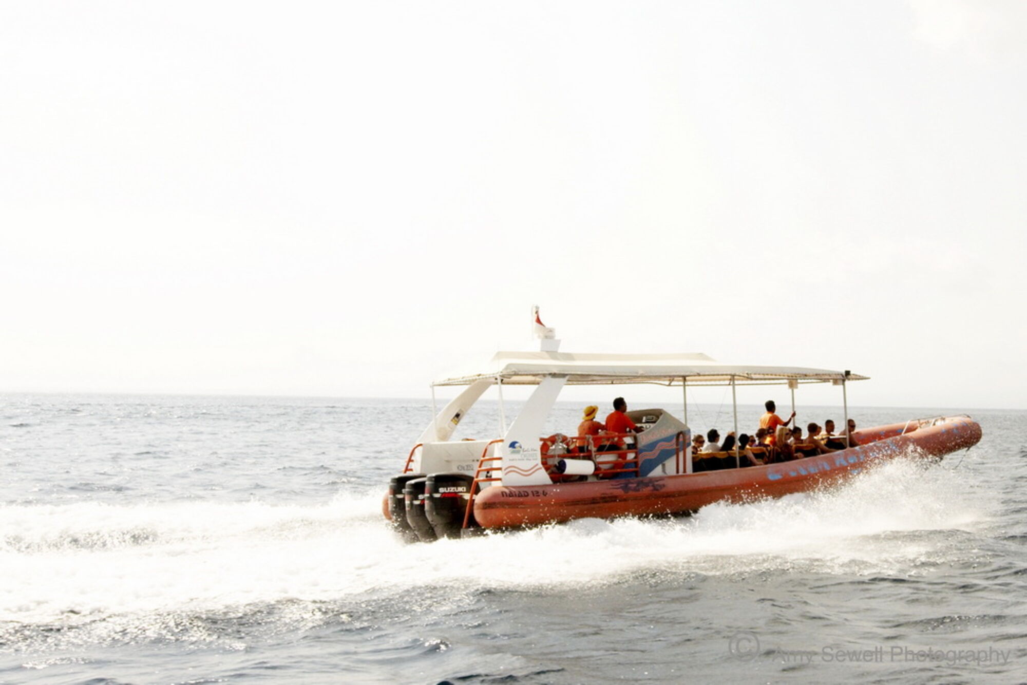 sche (3).jpg (171 KB)