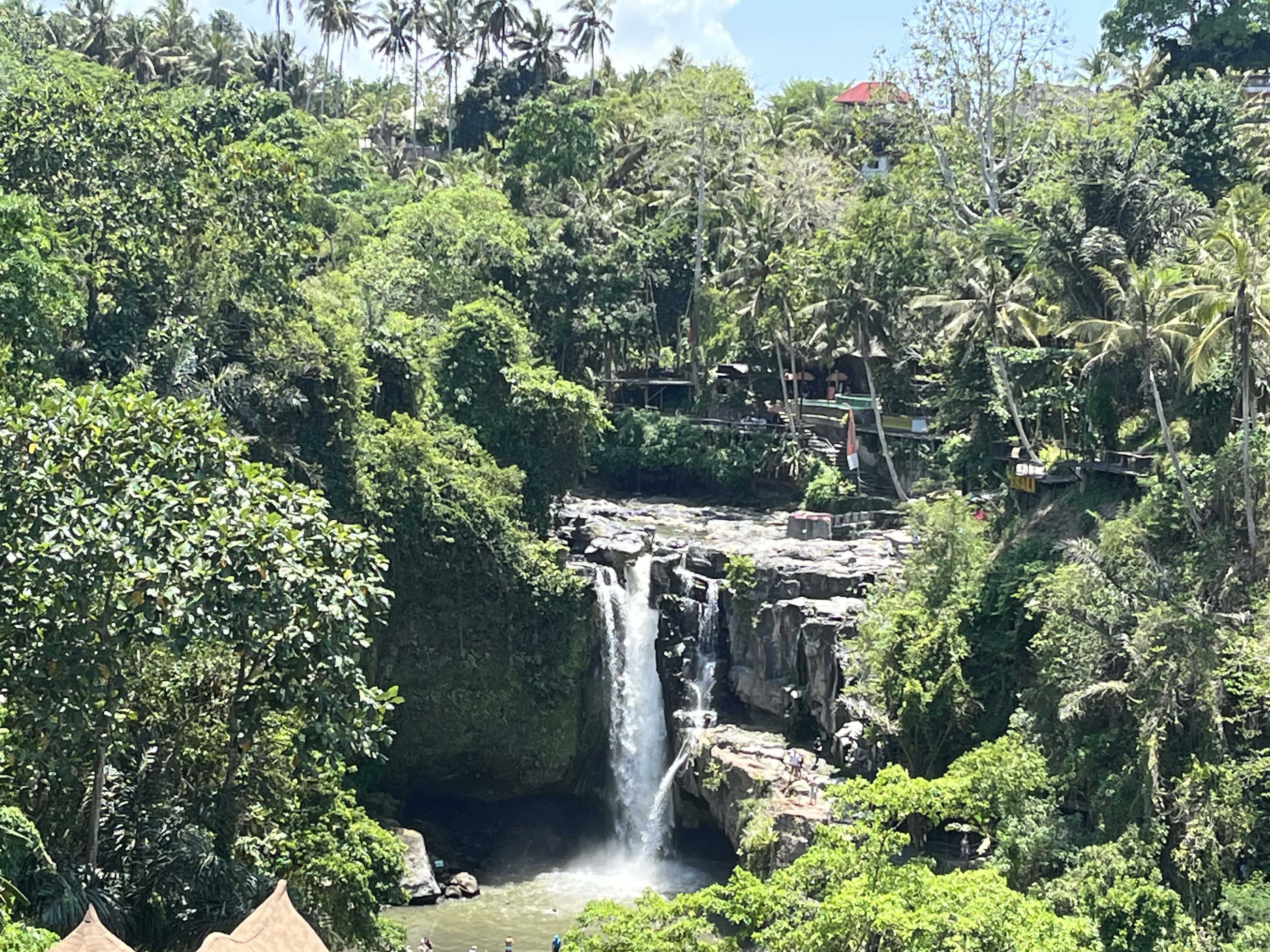 high (3).jpeg (1.15 MB)