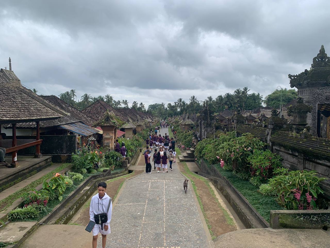 sche (3).jpeg (206 KB)