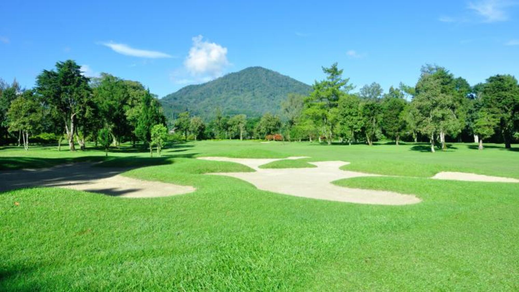 high (2).jpg (261 KB)