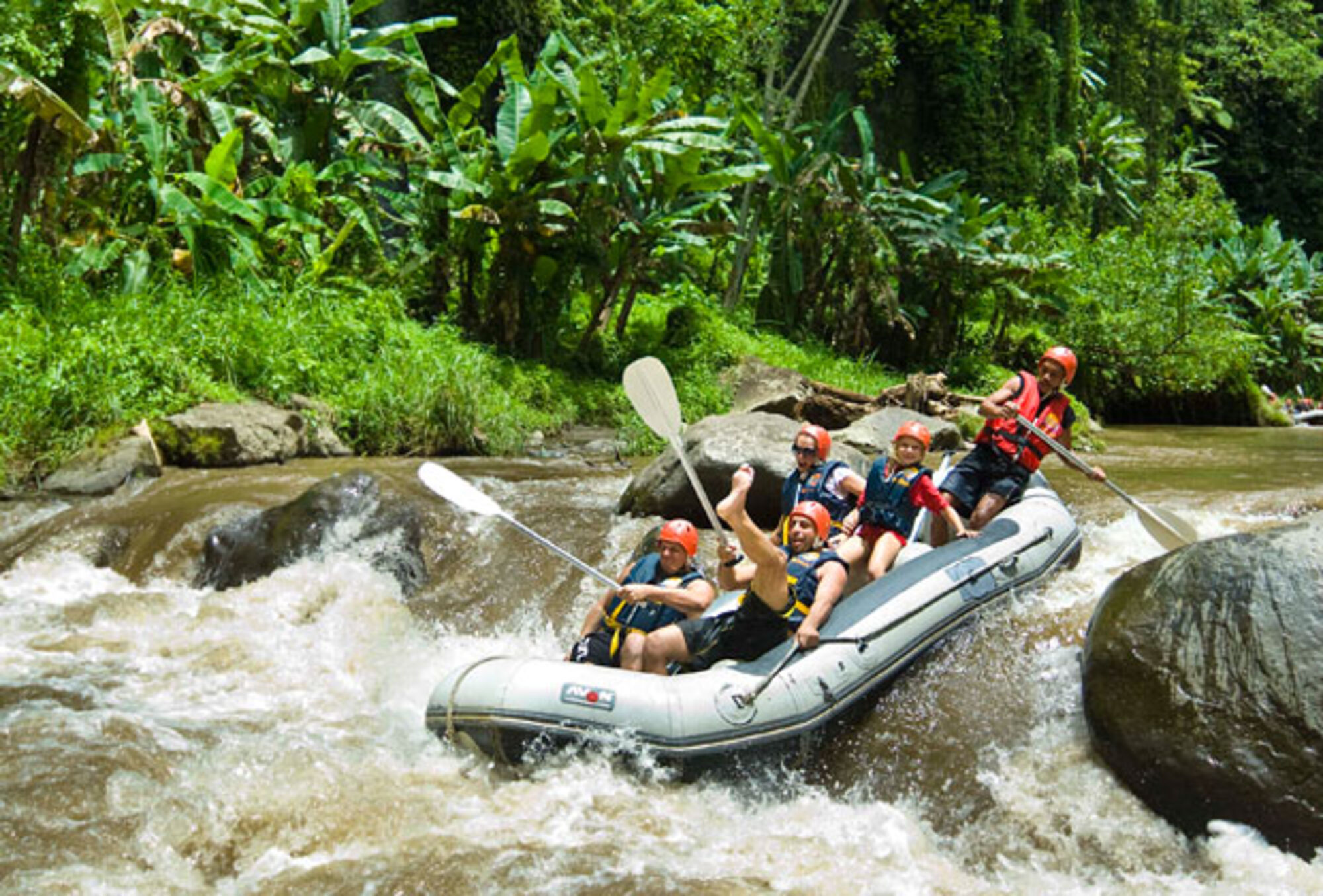 high (1).jpg (513 KB)