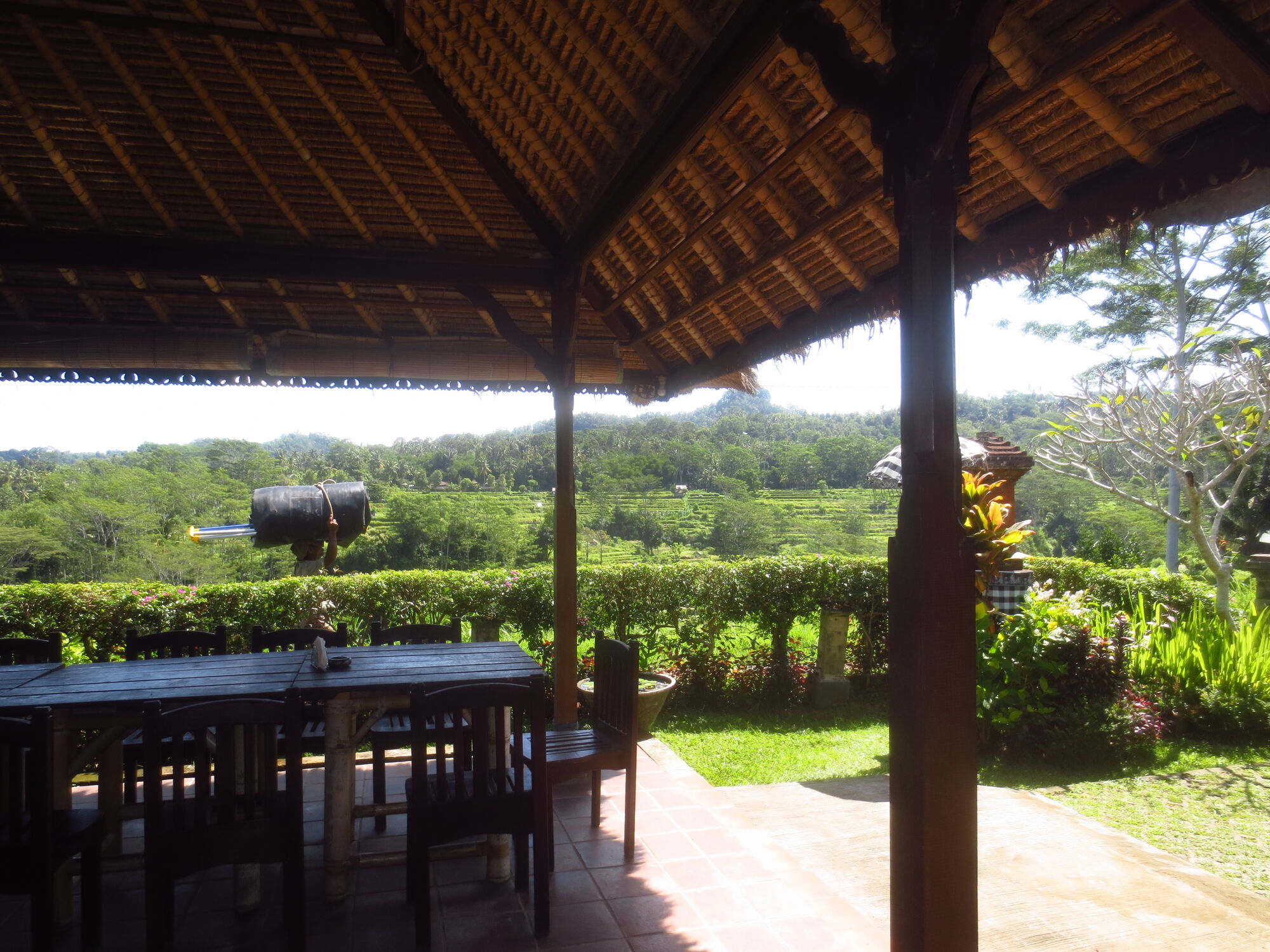 sche (3).JPG (522 KB)