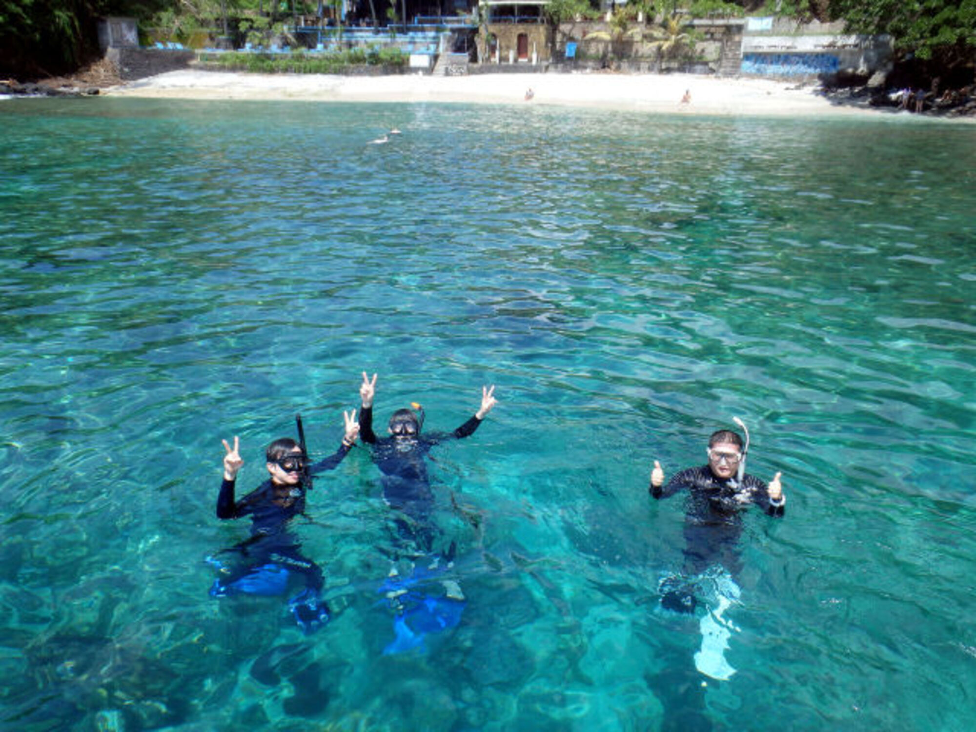 sche (2).jpg (441 KB)