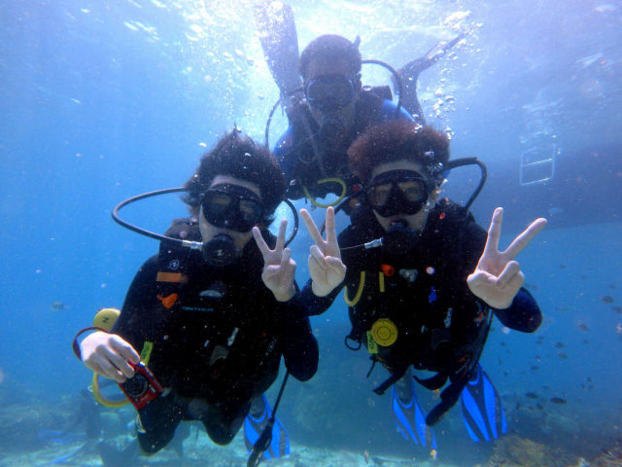 sche (3).jpg (299 KB)