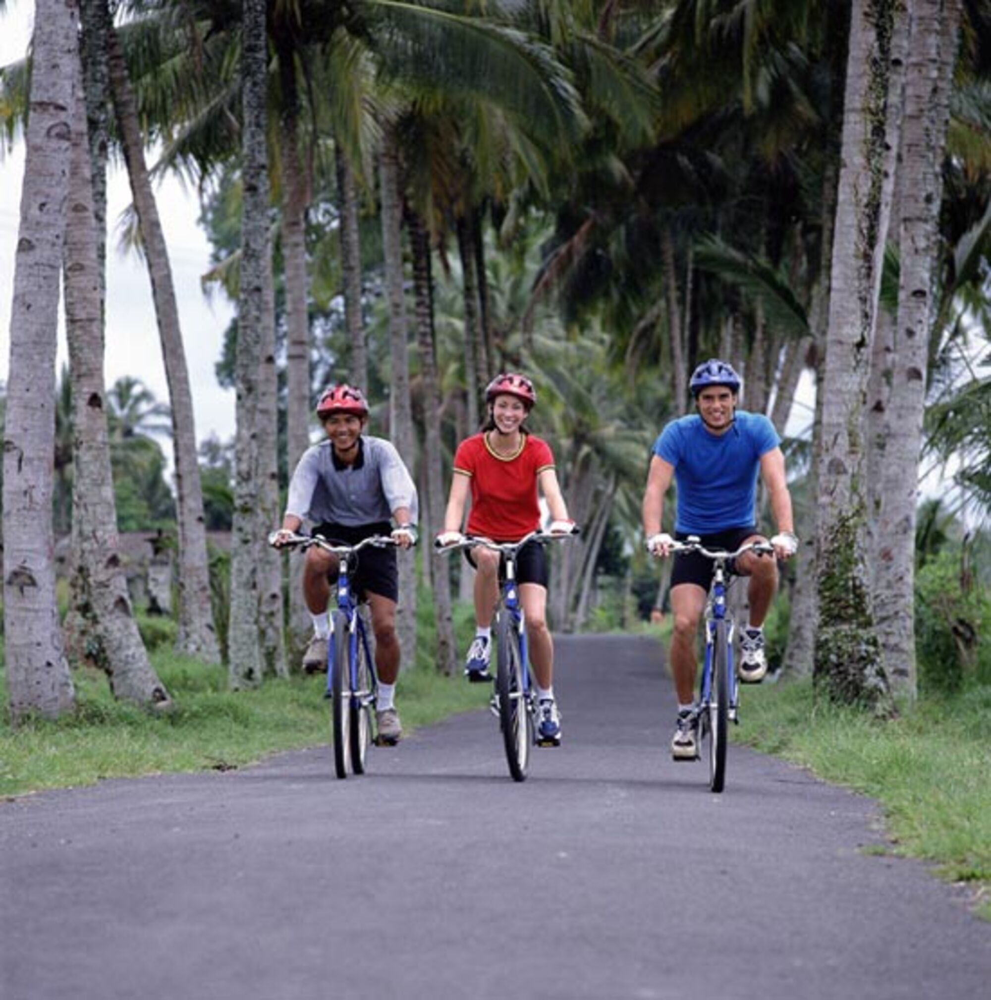 high (1).jpg (352 KB)