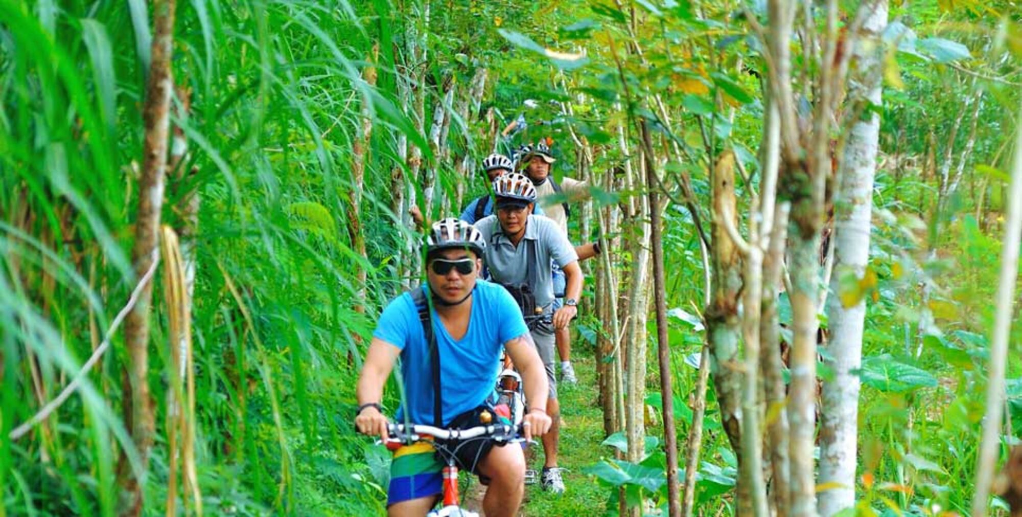 high (2).jpg (332 KB)