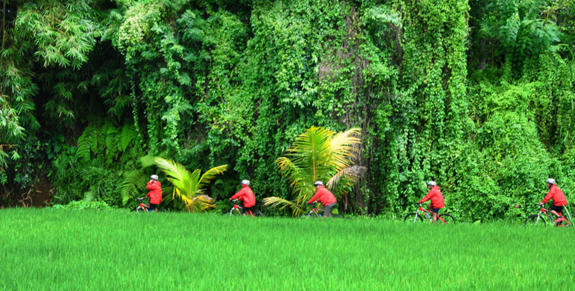 sche (1).jpg (518 KB)