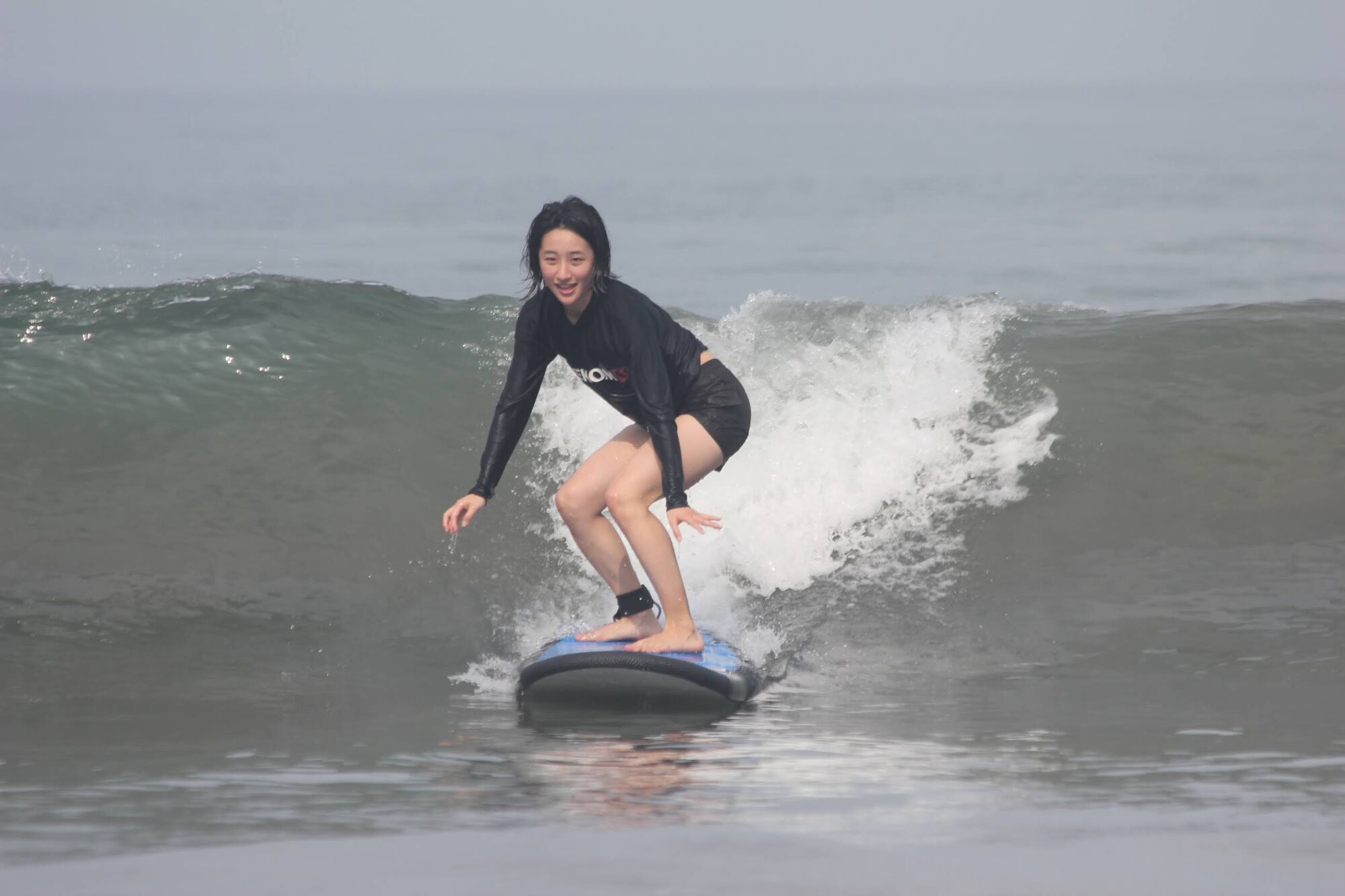 sche (3).JPG (138 KB)